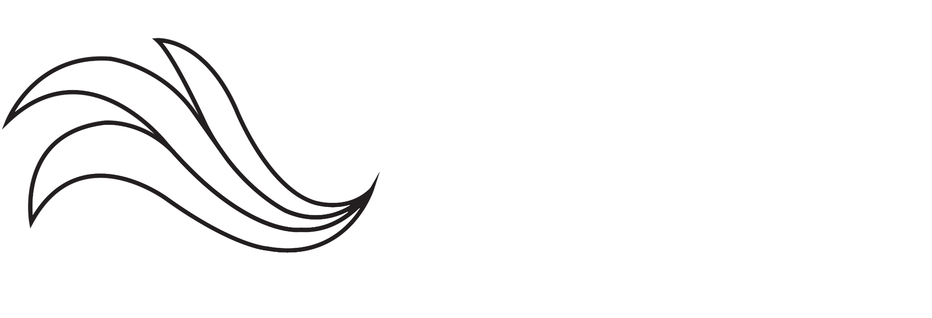 Pavone Hair Saloon